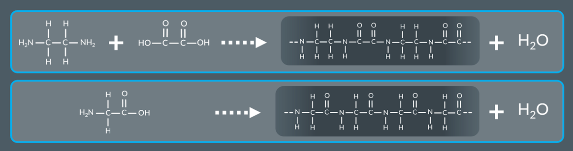 <p><span>Molecules containing amine and carboxylic acid groups react</span></p>