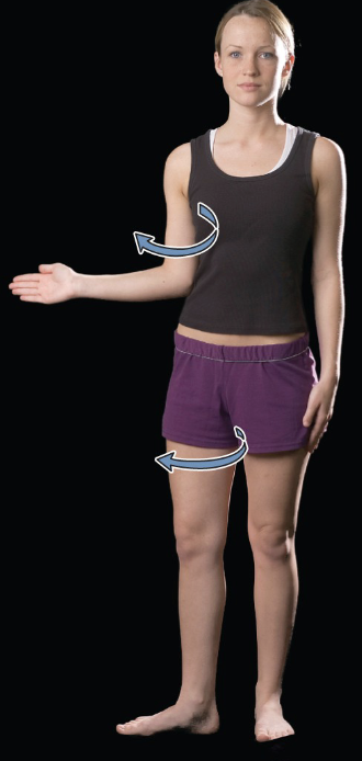 <p>lateral (external) rotation</p>