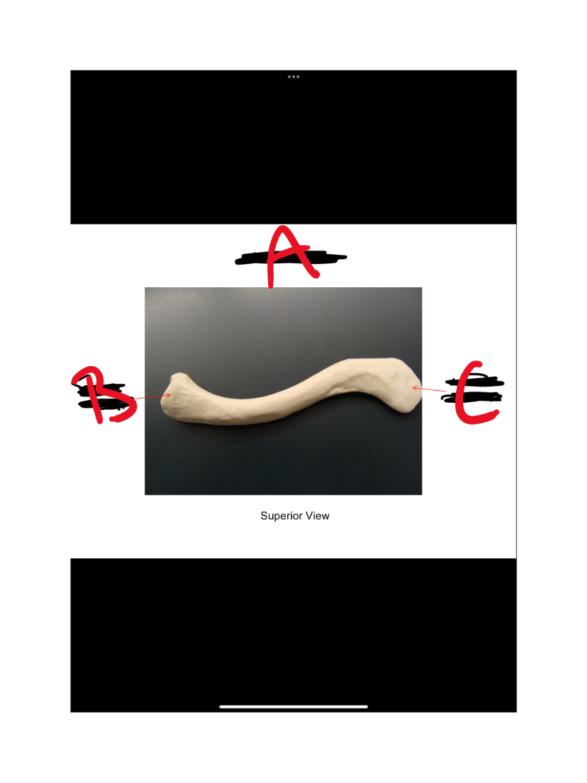 What is C?
