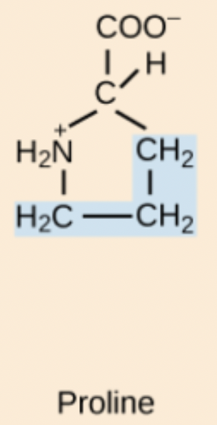 <p>Pro</p>