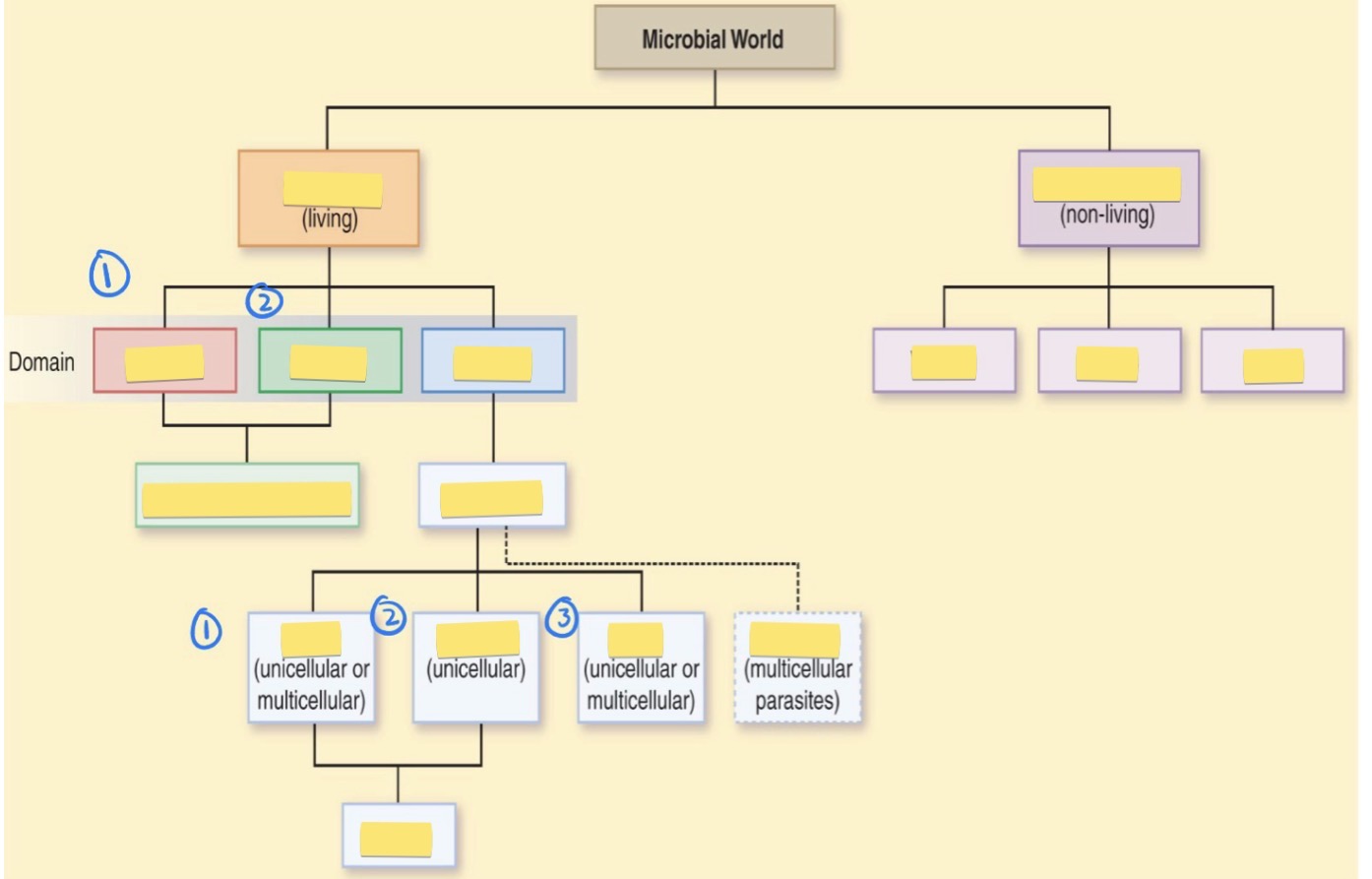<p>Draw the map of all members of the microbial world (without help)</p>