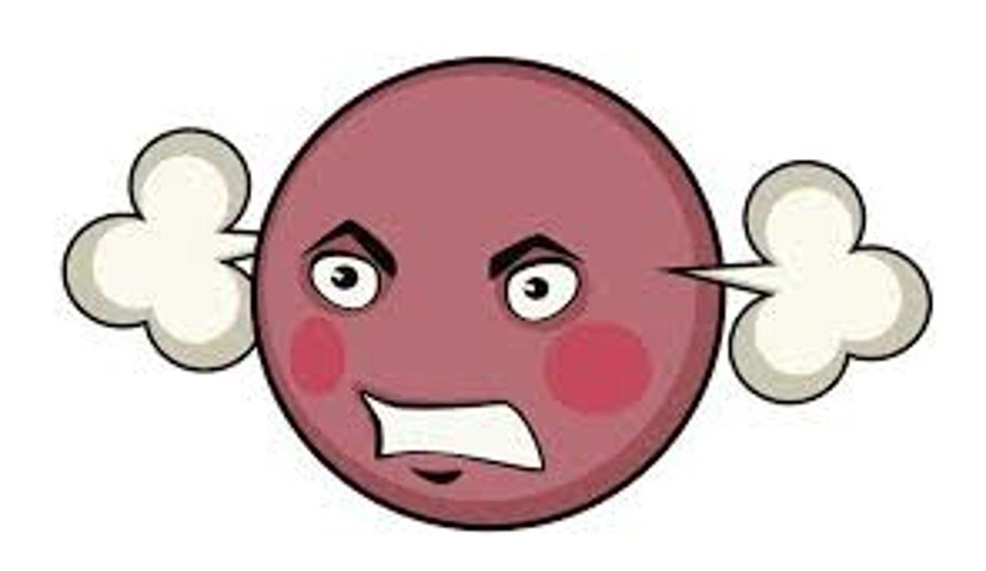 <p>angry, enraged, furious</p>