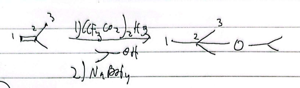 <p>secondary or tertiary</p>