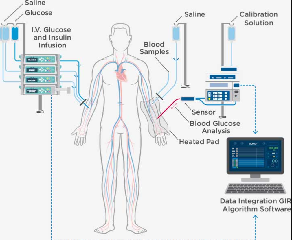 <p>Euglycemic clamp involves getting real-time reactions to increasing doses in glucose to detect insulin reactions. Considered the best in terms of accuracy (gold standard) and gives a large amount of information, it is inconvenient for the patient and is invasive, whilst being expensive</p>