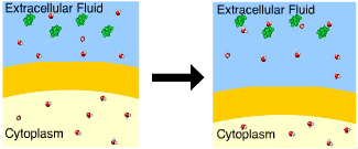 <p>This cell is in a(n) ____ solution</p>