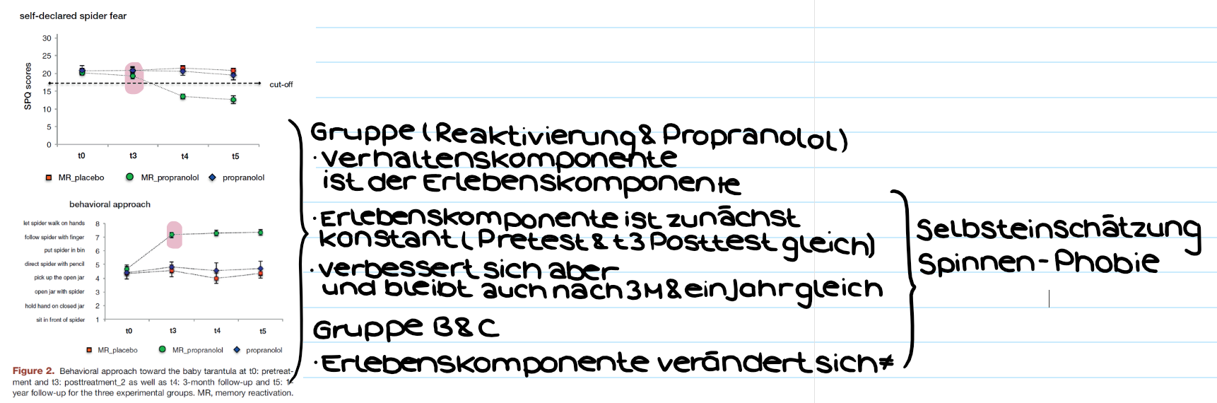<p><span><mark data-color="purple" style="background-color: purple; color: inherit">Selbsteinschätzung vs. Annäherungsverhalten</mark></span></p><ul><li><p><span>Bei der Selbsteinschätzung gibt es nach dem Treatment noch keinen Unterschied</span></p></li><li><p><span>Die Versuchspersonen schätzen ihre Spinnenphobie nach dem Treatment ähnlich wie beim Pretest</span></p></li><li><p><span><mark data-color="yellow" style="background-color: yellow; color: inherit">Aber die Versuchspersonen zeigen ein viel grösseres Annäherungsverhalten zu diesem Zeitpunkt im Vergleich zum Pretest</mark></span></p></li></ul><p><span><mark data-color="purple" style="background-color: purple; color: inherit">Fazit:</mark></span></p><ul><li><p><span><mark data-color="yellow" style="background-color: yellow; color: inherit">Daraus kann man die Schlussfolgerung ziehen:<br>Die Verhaltenskomponente ist der Erlebenskomponente voraus</mark></span></p></li></ul><p></p>