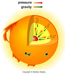 <p>A constant battle between 2 forces, inward force of gravity and outward for of nuclear fusion</p>