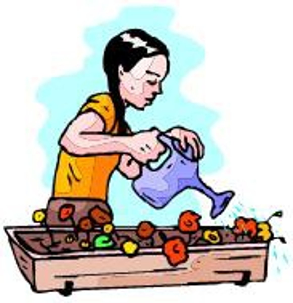<p>to water the plants</p>
