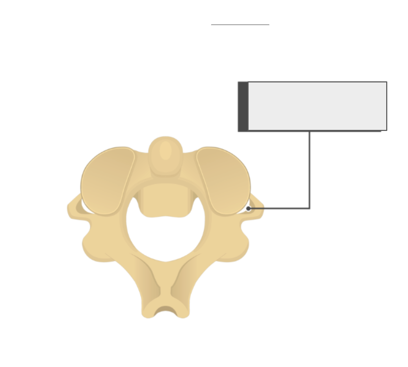 <p>Name the covered landmark</p>