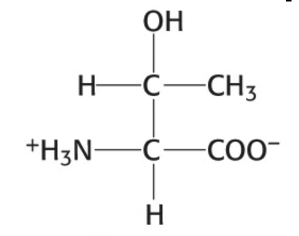 <p>Which amino acid is this</p>