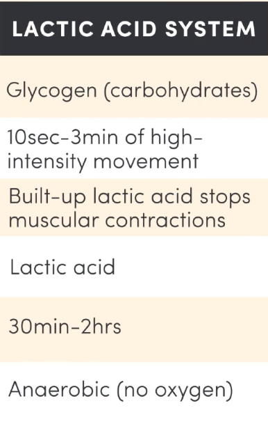 <p><strong>Fuel Source</strong>: glycogen (carbohydrates from food). Carbs break down into glucose and is transported via blood and stored as glycogen in muscles and liver. When glycogen breaks down, it releases energy that the body can use to resynthesise ADP</p><p><strong>Intensity of activity best suited to</strong>: High intensity (&gt;85% max HR)</p><p><strong>Rate of ATP production</strong>: Fast</p><p><strong>Yield</strong>: small (2-3 ATP) 2x ATP-CP system</p><p><strong>Duration</strong>: 10-75s total &amp; is dominant for 5-60sec → after ATP-CP (&gt;5) to when aerobic takes over (30-60s)</p><p><strong>By-product</strong>: lactic acid. When the glycogen breaks down chemically, it becomes lactic acid. </p><p><strong>Type of Recovery</strong>: Active → faster removal of lactic acid e.g walking (30min-2hrs)</p><p><strong>Fatigue Factor</strong>: accumulation of H+ ions + lactic acid build up in muscles → muscles become acidic therefore enzymes slow/stop muscle recovery</p><p><strong>Pathway</strong>: anaerobic = no oxygen</p><p><strong>Example</strong>: 400m run </p>