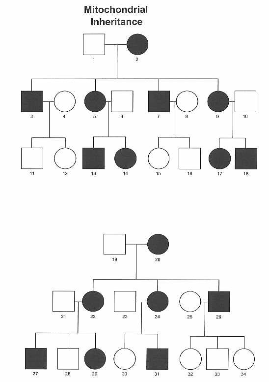 <ul><li><p>trait comes from the mother only</p></li><li><p>all children are at risk of being affected/carrier</p></li><li><p>Ex. Leber’s hereditary optic neuropathy</p></li></ul><p></p>