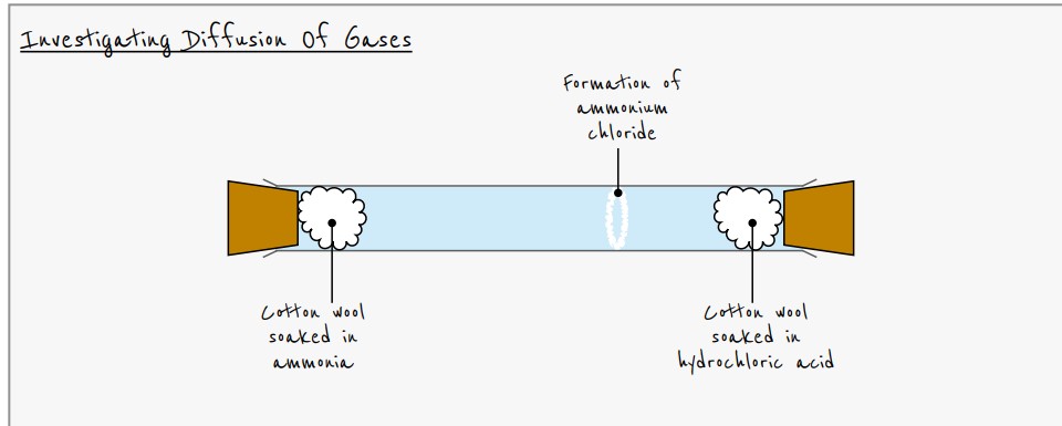 <p>Soaked <strong>cotton wool</strong> with<strong>(NH₃)</strong> and <strong>(HCl)</strong> is placed at opposite ends of a <strong>sealed tube</strong>. A <strong>white ring</strong> of <strong>NH₃ f</strong>orms closer to the <strong>HCl end</strong>, showing that <strong>NH₃ diffuses faster</strong> due to <strong>lower Mr</strong>.</p>