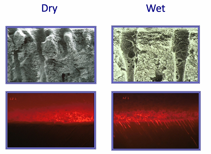 <p>bond can displace water in wet&nbsp;</p>