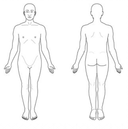 <p>the body is upright with feet parallel, and the arms hanging at the sides with palms facing forward. </p>