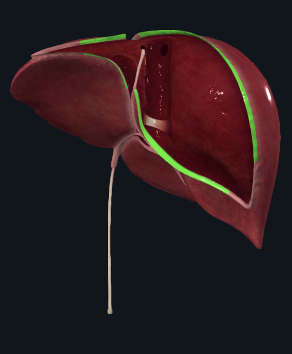 <p>What is highlighted in </p>