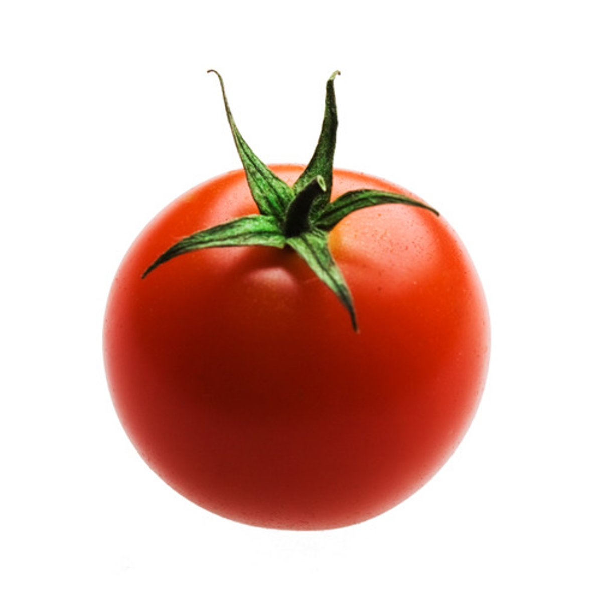 <p>tomato</p>