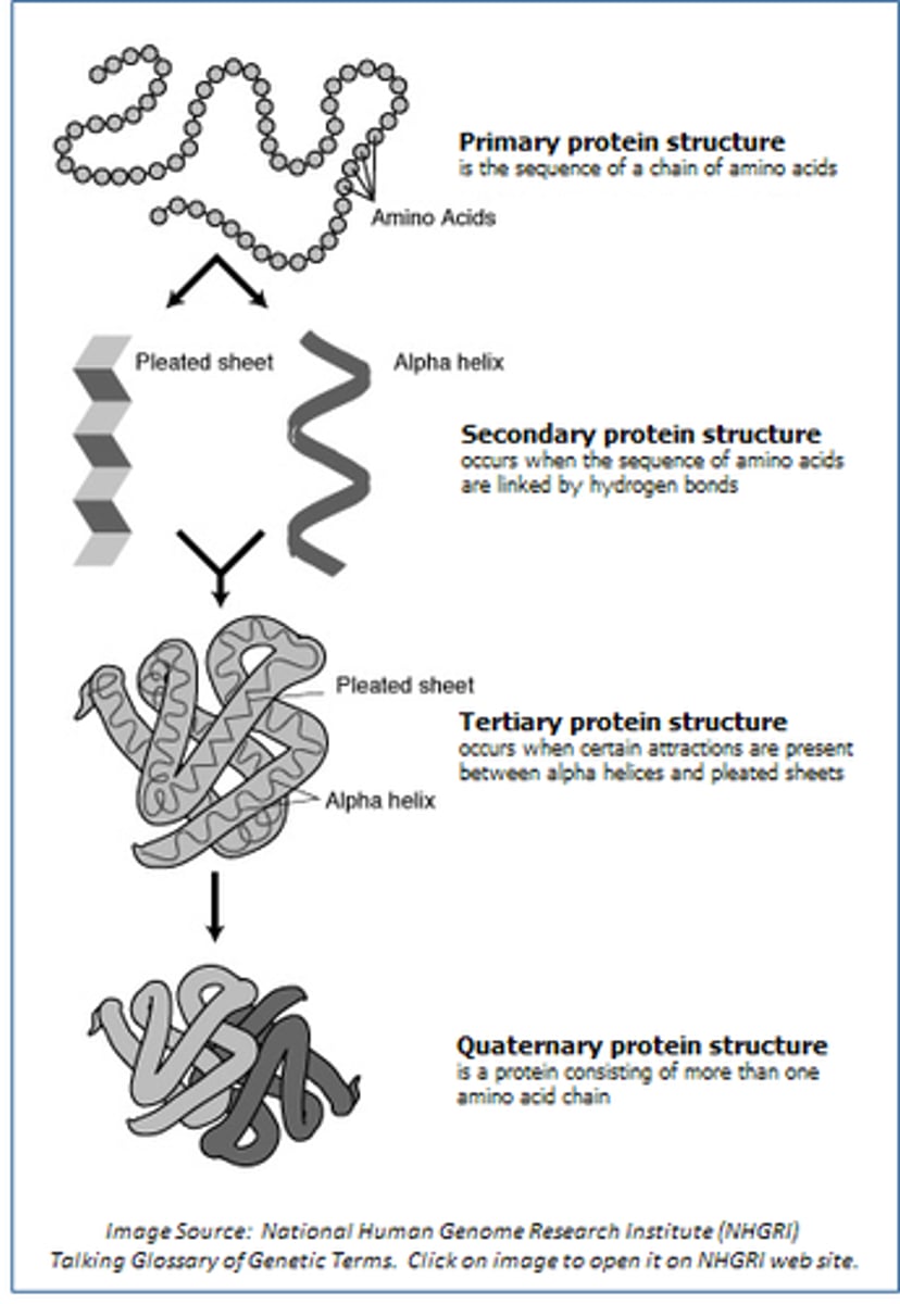 <p>primary, secondary, tertiary, quaternary</p>