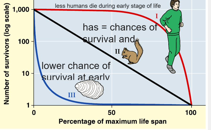 <p>Survivorship Curves</p>