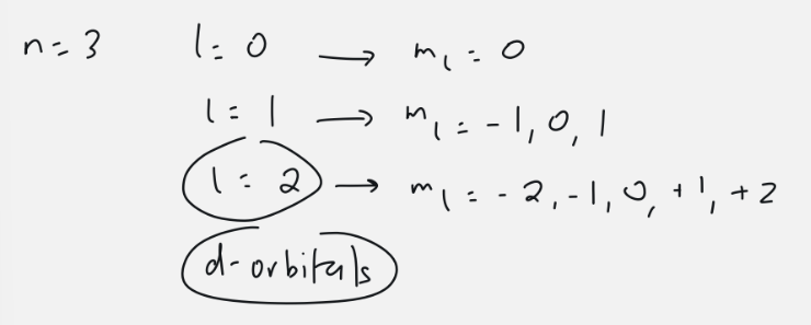 <ul><li><p>l=2</p></li><li><p>5 orbitals: m<sub>l</sub> = -2, -1, 0, 1, 2</p></li><li><p>10 electrons</p></li></ul><p></p>