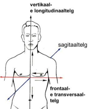 <ul><li><p>frontaal</p></li><li><p>sagitaal</p></li><li><p>vertikaal&nbsp;</p></li></ul><p></p><p></p>