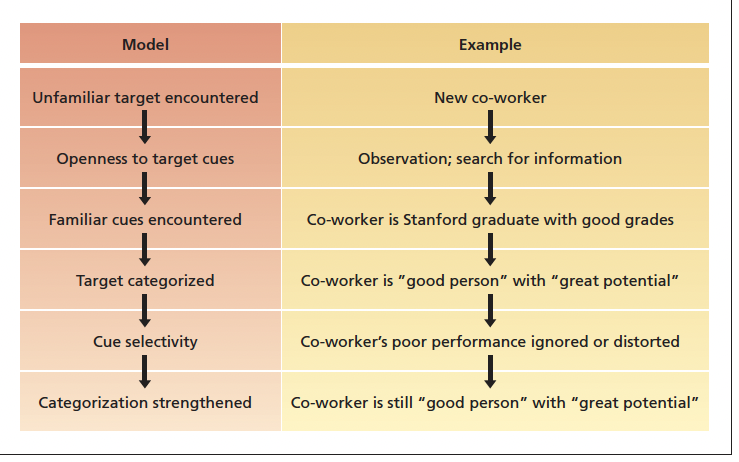 <p><em>Bruner’s model of the perceptual process and an example.</em></p>