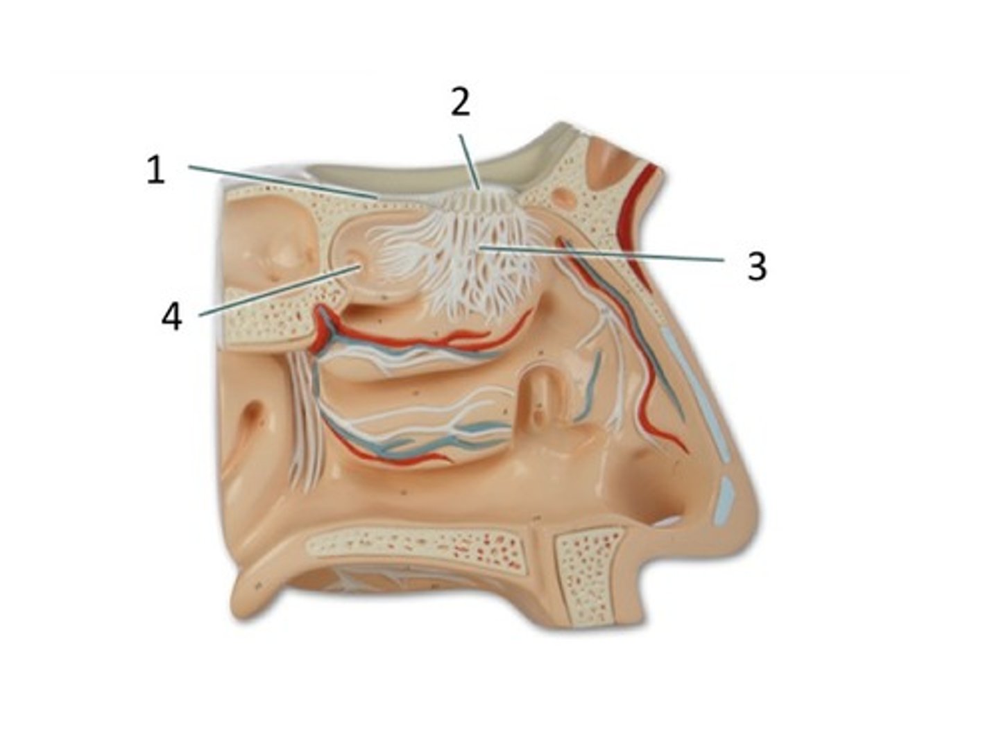 <p>2</p>