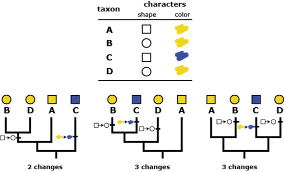 <p>Seeks to investigate the simplest explanation that is consistent with the facts </p>