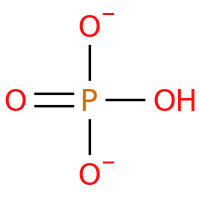 <p>-PO4<sup>-2</sup> (or -HPO4<sup>-</sup> -H2PO4)</p>