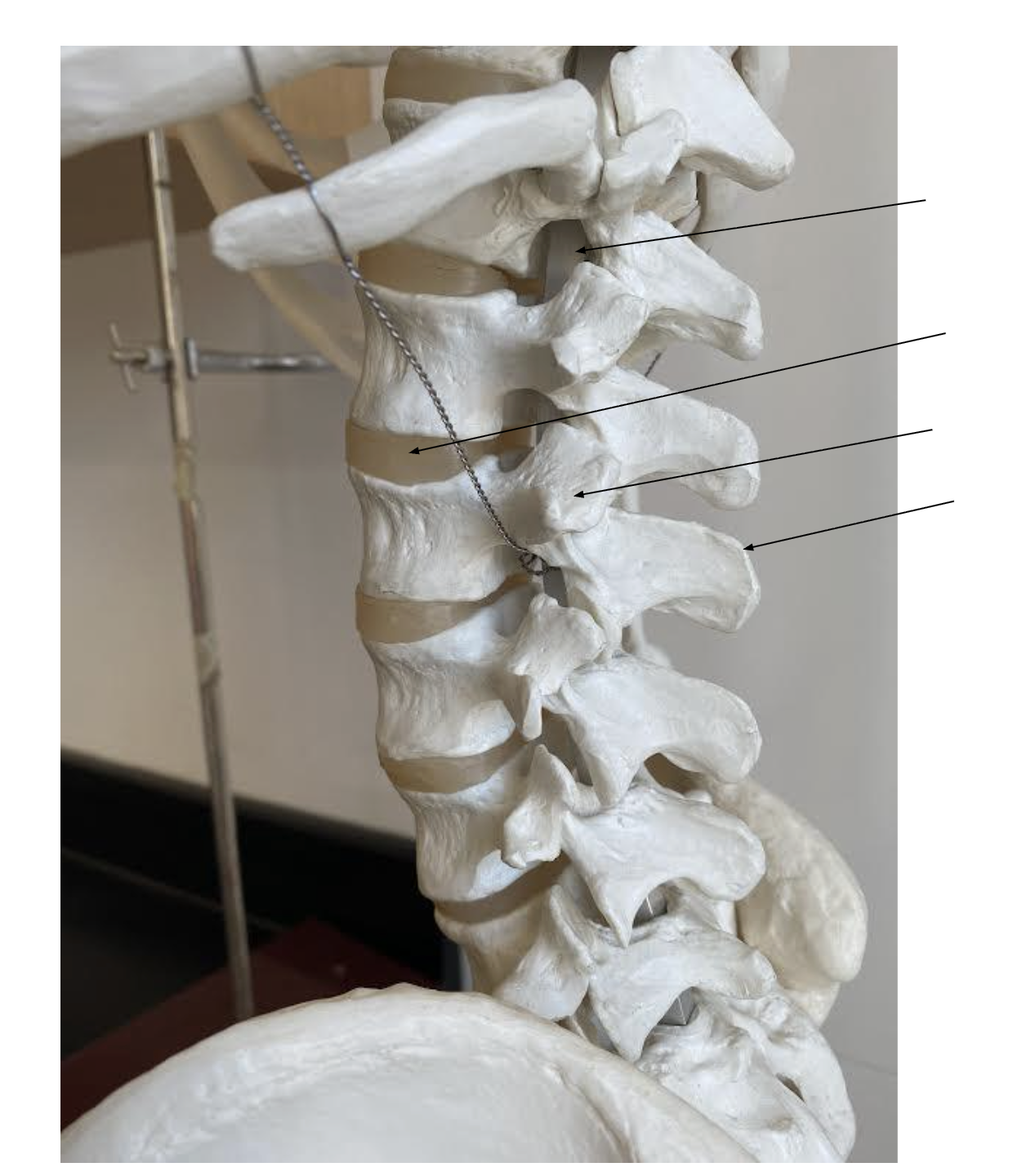 <ol><li><p></p></li><li><p></p></li><li><p></p></li><li><p></p></li></ol><p></p>