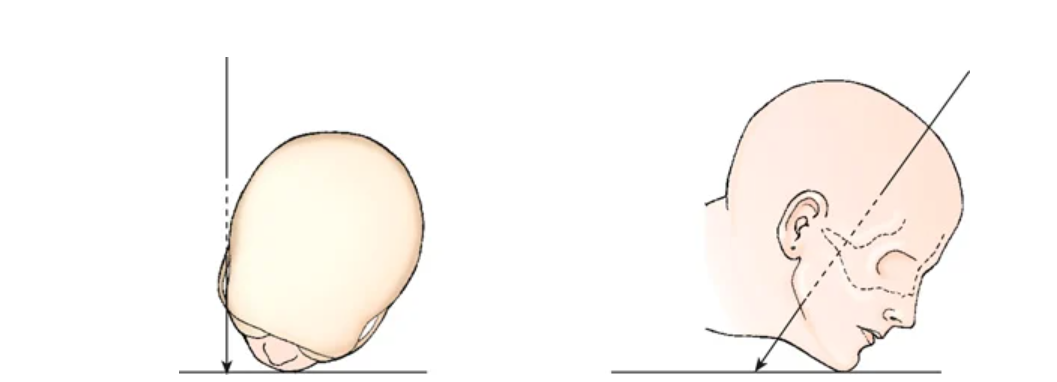 <p>Name the projection</p>