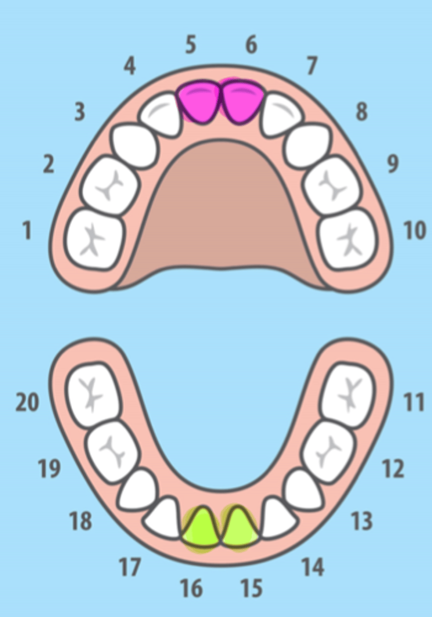 <p>All Primary Centrals</p>