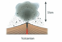 <p>eruptions are more violent bc more viscous lava solidifies more quickly and traps gases. ashes and cinders emitted when pressure released. dark ash-laden clouds rise to form caulifloewr shape</p>
