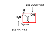 <p>Looking at the carbonyl group, which way will the equilibrium shift at pH 10? </p>