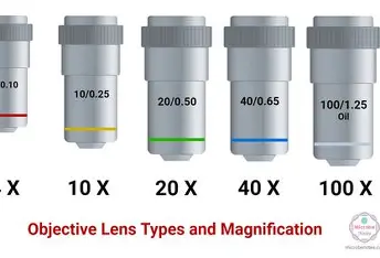 <p>Objective Lenses</p>