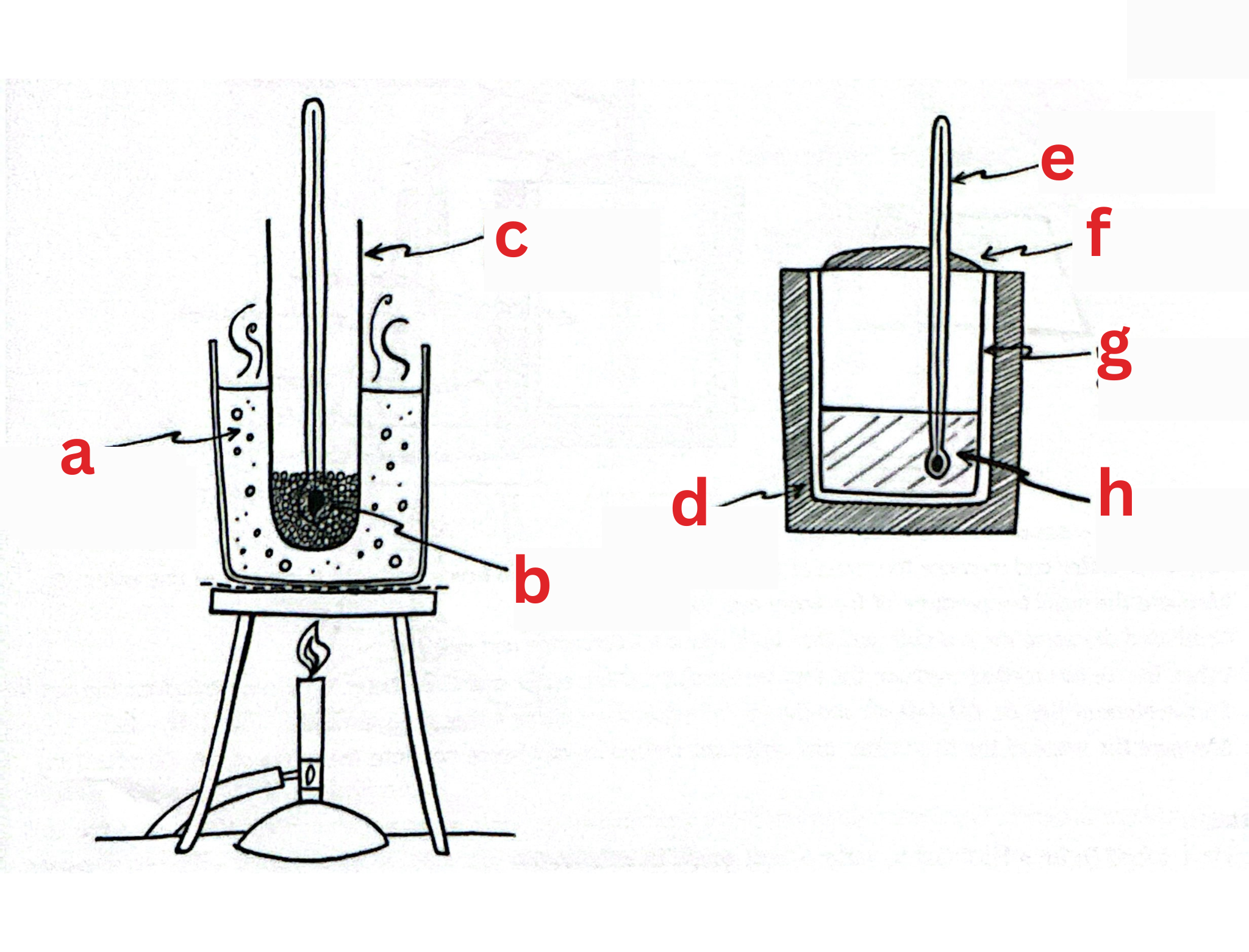 <p>Label This Diagram</p>