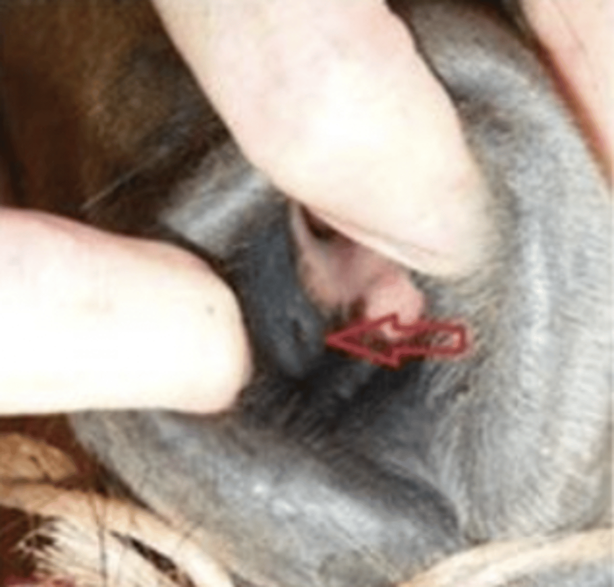 <p>what is this ?</p>