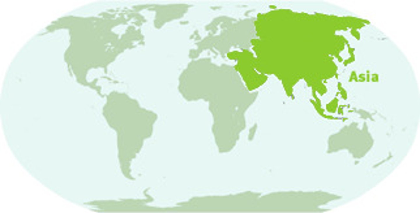 <p>DEFINITION</p>