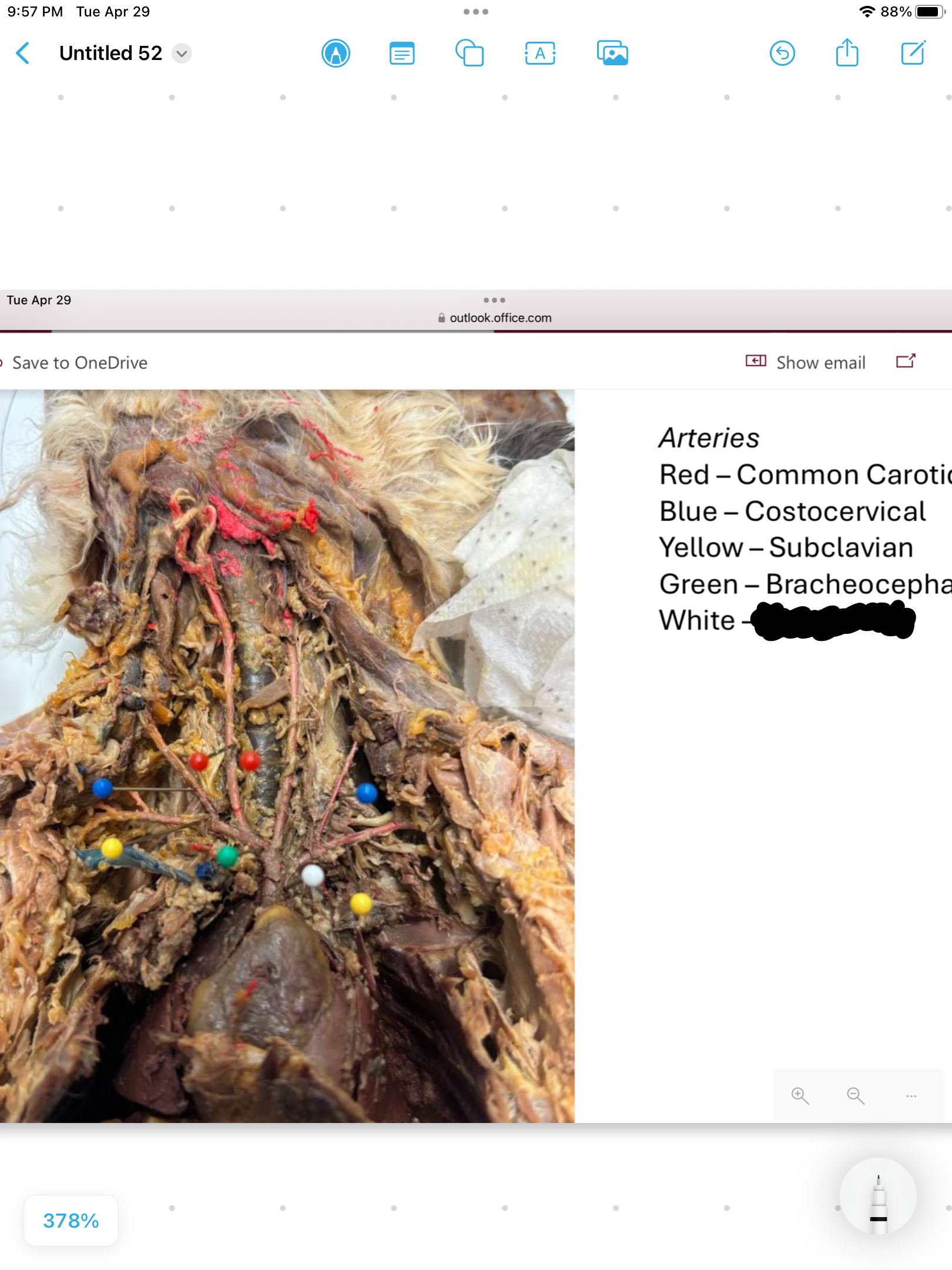 <p>label the area</p>