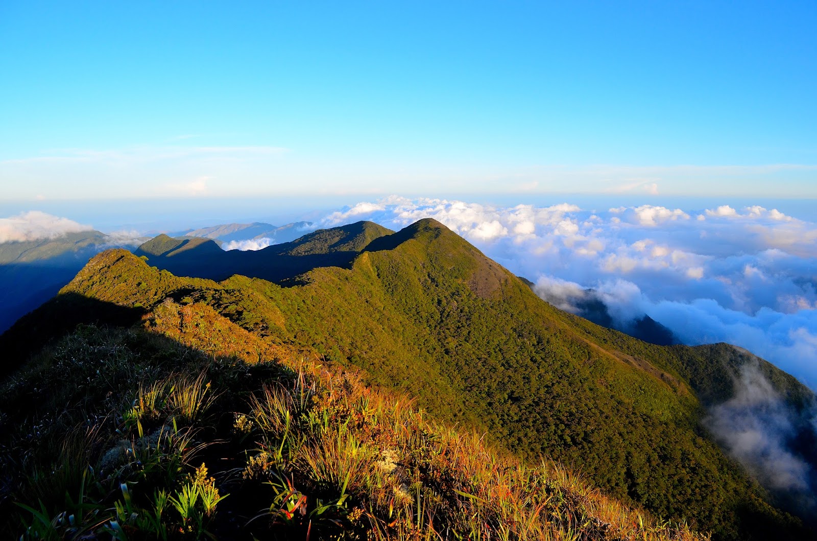 <p><span style="color: #000000">The fourth-highest point in the country, rising 2,586 meters above sea level, this mountain is a favorite among mountaineers, trekkers, and other nature lovers. Wild tamaraws still roam its forest.</span></p>