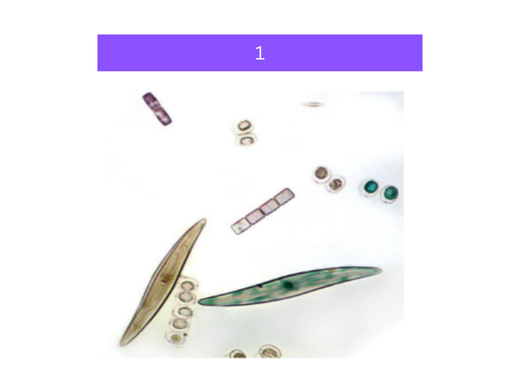 <p>what is&nbsp;1</p>