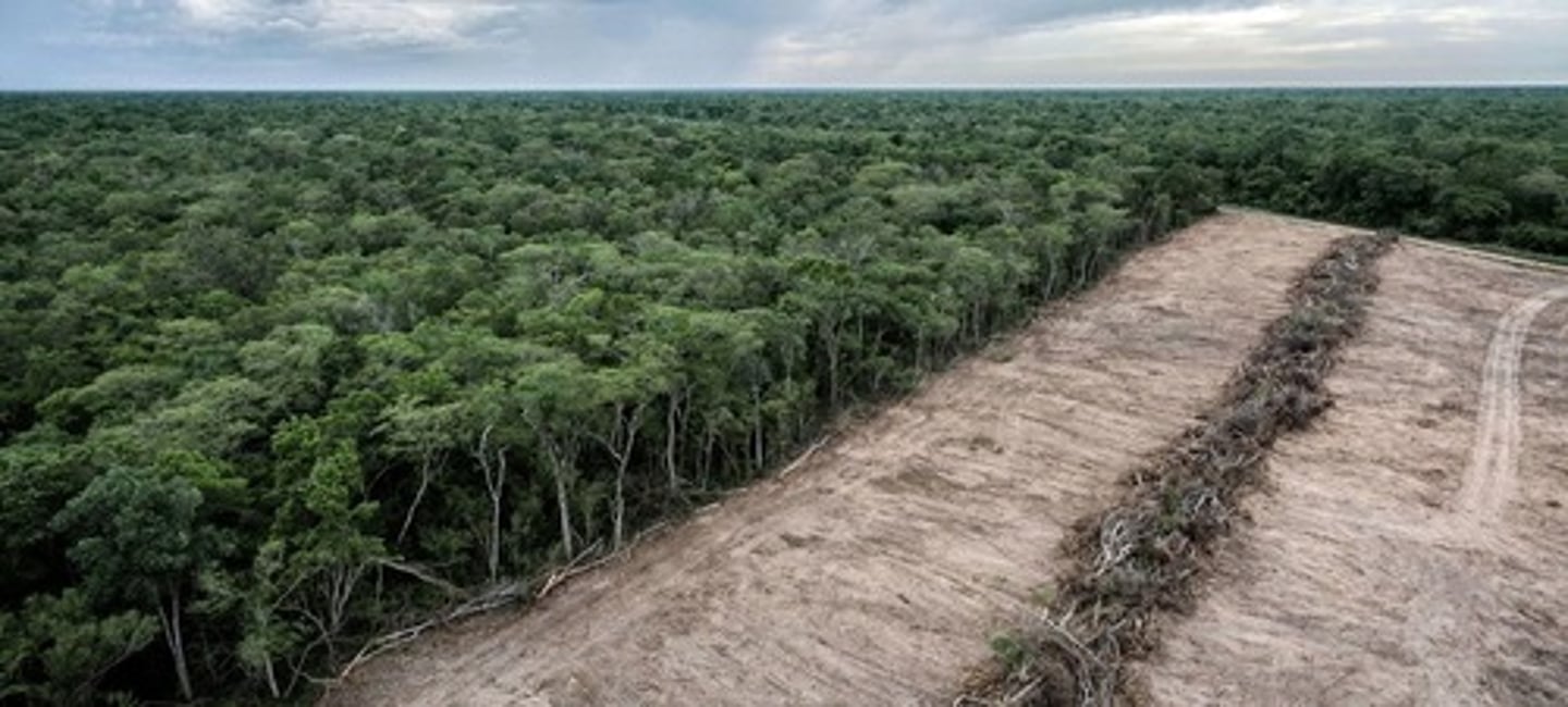 <p>Une extension des surfaces cultivées aux dépends de la nature sauvage (défrichement)</p>