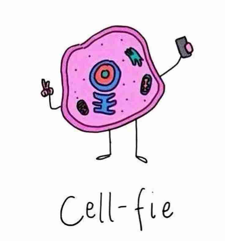<p>what is cell?</p>
