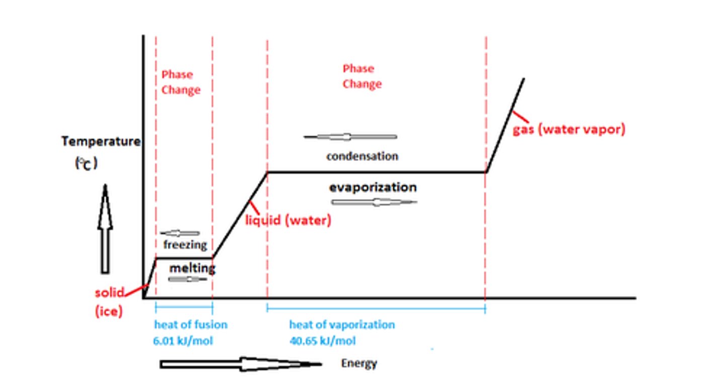 <p>transition of matter from one state to another</p>
