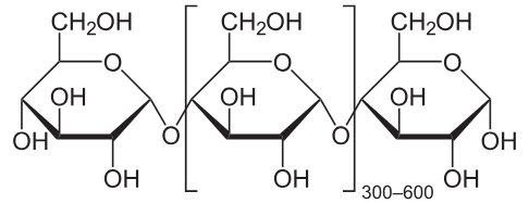 <p>made of glucose (more linear) with ONLY 1-4 alpha glycosidic bonds</p>