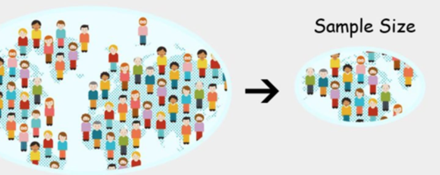 <p>the set of people that a particular poll is meant to represent</p>