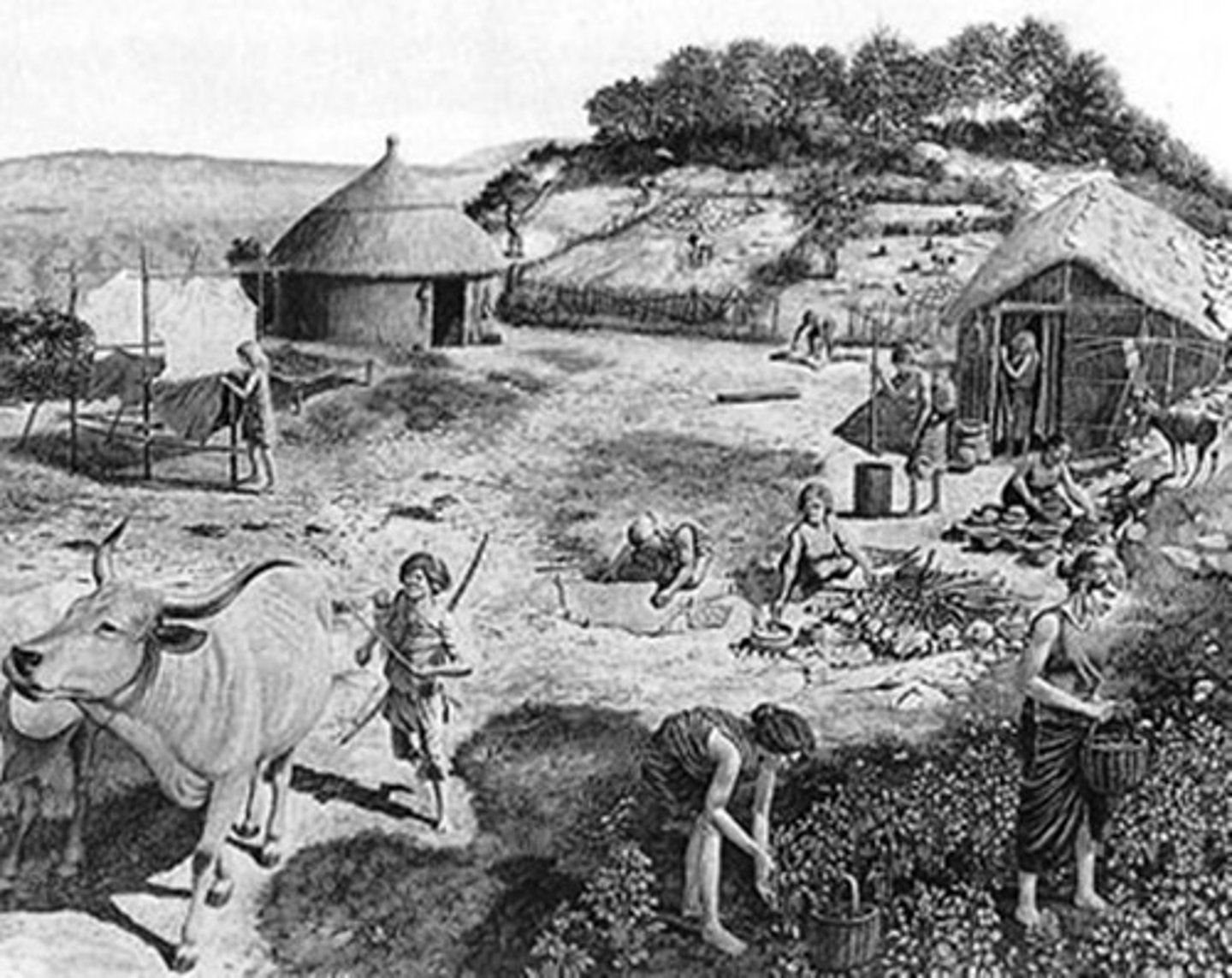 <p>New Stone Age ~ 18k BC to about 4K BC , changed their lifestyle</p>