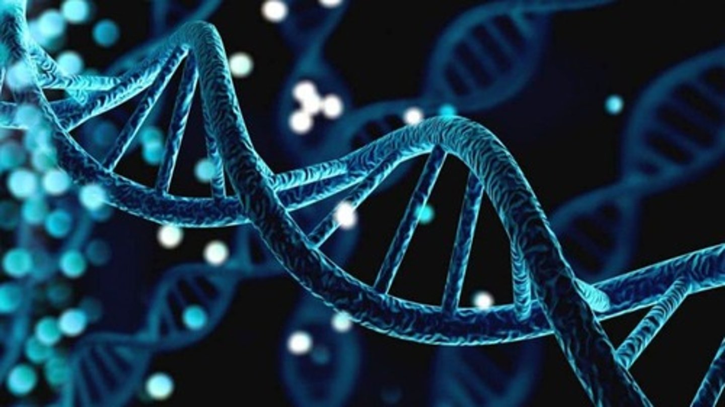 <p>All living things have DNA as their genetic material.</p>