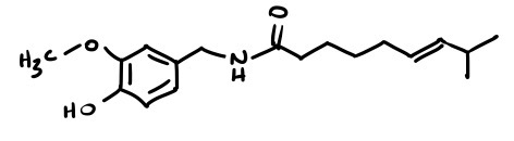 <p>Capsaicin</p>