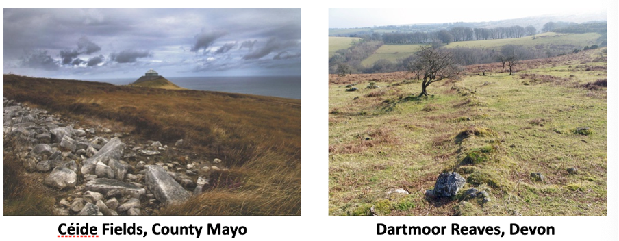 <ul><li><p><span style="line-height: normal; font-size: 7pt;"><span>&nbsp; </span></span><span><span>Improving technology (metal smelting) allowed greater range of environments to&nbsp;&nbsp;&nbsp; be farmed</span></span></p></li><li><p class="MsoListParagraphCxSpMiddle"><span style="line-height: normal; font-size: 7pt;"><span>&nbsp; </span></span><span><span>First major settlements and vegetation clearance/deforestation become permanent</span></span></p></li><li><p class="MsoListParagraphCxSpMiddle"><span style="line-height: normal; font-size: 7pt;"><span>&nbsp; </span></span><span><span>Start of Iron Age (c. 2,700 years ago), most of southern Britain was under agricultural use</span></span></p></li><li><p class="MsoListParagraphCxSpMiddle"><span style="line-height: normal; font-size: 7pt;"><span>&nbsp; </span></span><span><span>Previously unexploited areas of Wales, southern Scotland, northern England- woodlands were cleared</span></span></p></li><li><p class="MsoListParagraphCxSpLast"><span><span>1086 AD: Doomsday book - only 15% of original forests remained</span></span></p></li></ul><p></p>